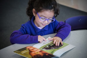 Young girl reading picture book